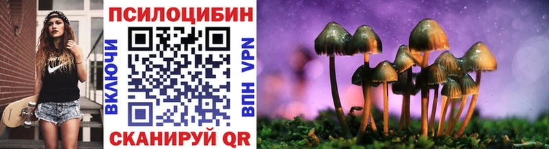 дарнет шоп  Няндома  Галлюциногенные грибы MAGIC MUSHROOMS 